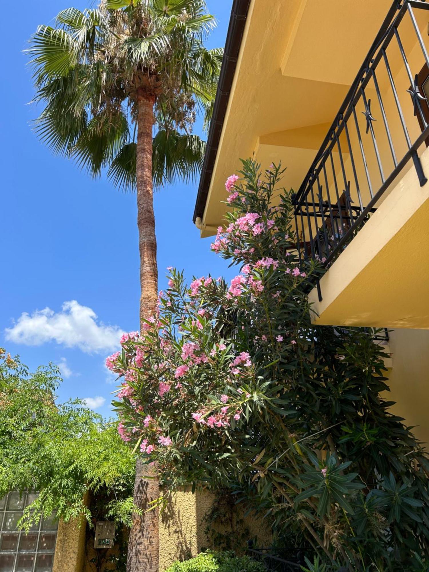 Villa Danlin Hotel Göcek Eksteriør billede